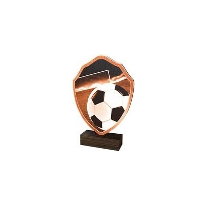 Poháry Bauer Dřevěná plaketa TFRW004 Fotbal