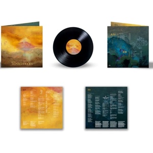 Warner Silversun Pickups: Tenterhooks - Vinyl (LP) (089327)
