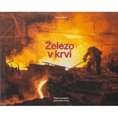 Železo v krvi - Viktor Mácha