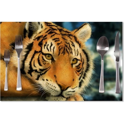 Sablio Prestieranie Tiger 40x30cm