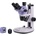 Magus Stereo D7T Plus