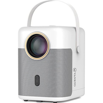 Vankyo Performance H300A