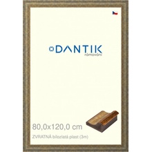 DANTIK rám na obraz 80x120 | ZVRATNÁ bílozlatá plast (Plexi Čiré)