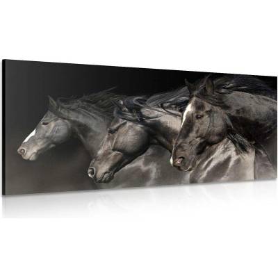 Obraz tři cválající koně - 120x60