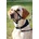 TRIXIE Training harness Top Trainer M