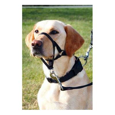 TRIXIE Training harness Top Trainer M