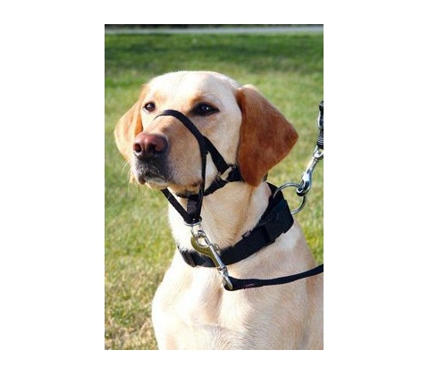 TRIXIE Training harness Top Trainer M