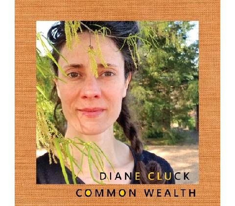 Common Wealth - Diane Cluck CD