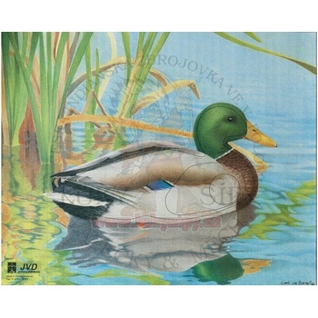 JVD terč KACHNA DIVOKÁ