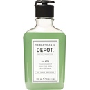 Šampony Depot NO. 101 Normalizing Daily Shampoo 250 ml