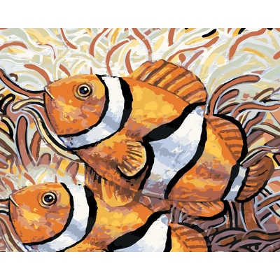 ZUTY Malování podle čísel DVĚ RYBY NEMO Rozměr 80 x 100 cm Rámování vypnuté plátno na rám