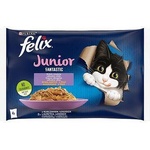 Purina Felix Junior Fantastic - паучове с пиле за подрастващи котенца - 4 x 85 г