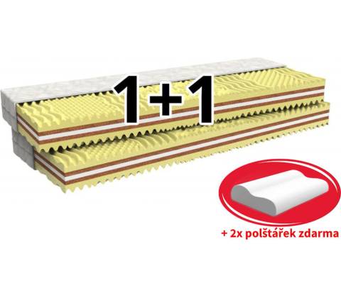 MPO Hortenzie 1+1