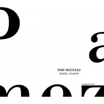 Paní mezičasu - Adamík Marek