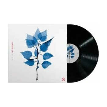 Matt Berninger: Get Sunk LP