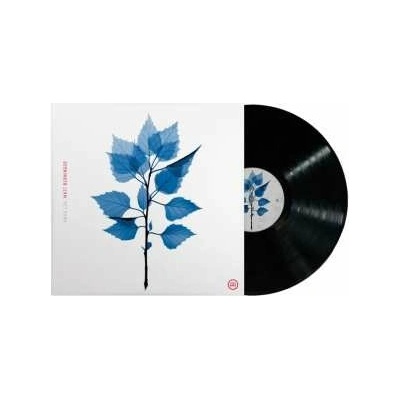 Matt Berninger: Get Sunk LP