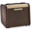 Fishman Loudbox Micro