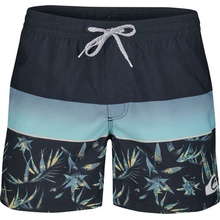 Quiksilver pán.koup.šortky Hide palm VL 15 YM modré