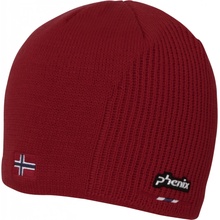 Phenix Norway Alpine Team Jr. Watch Cap ES9G8HW70/FLRD