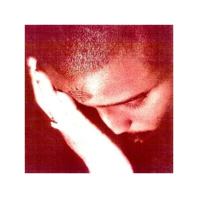 NOURISHED BY TIME - THE PASSIONATE ONES 1 CD
