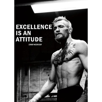 1 dílné obrazy Conor McGregor SP089 Velikost 50 x 100cm