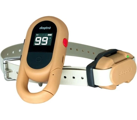 Dogtra IQ Flex