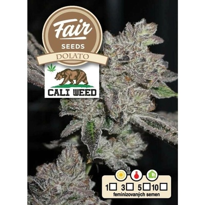 Fair Seeds Dolato semena neobsahují THC 10 ks