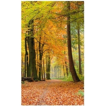 DIMEX ART s. r. o Флизелинов фототапет есенна гора 150 x 250 см