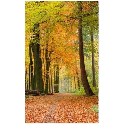 DIMEX ART Флизелинов фототапет есенна гора 150 x 250 см