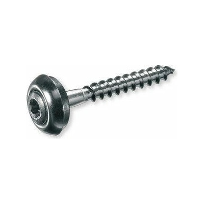 DIN 7995P 4.5x30 A2 TORX vrut se zápustnou čočkovitou hlavou TORX drážkou a podložkou, nerez A2