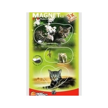 Magnetky Koťata 2 - MF 063