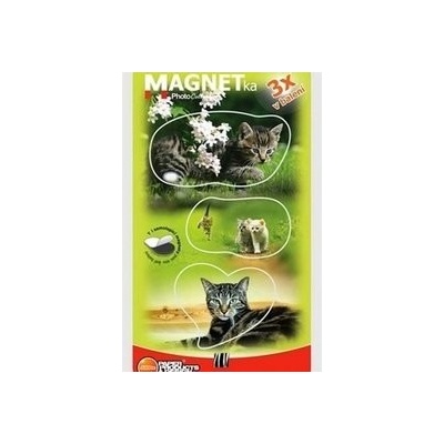 Magnetky Koťata 2 - MF 063