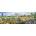 SunsOut - Puzzle Eastern Birds 500 panorama - 500 piese