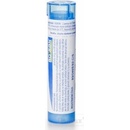 Voľne predajné lieky Solanum Malacoxylon gra.1 x 4 g 9CH