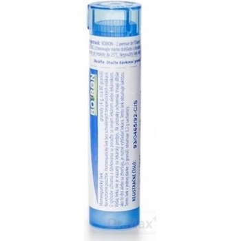 Solanum Malacoxylon gra.1 x 4 g 9CH