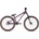 Kellys Whip 70 2025