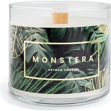 Artman Monstera Small Green 400 g