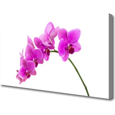 Obraz Canvas Vstavač kvet orchidea 100x50 cm