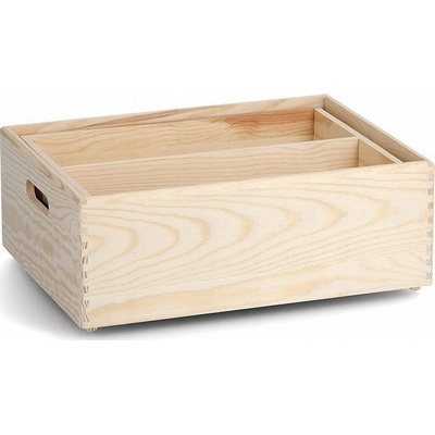 Zeller Úložný box s vyjímatelnými přihrádkami, 40 x 30 x 15 cm