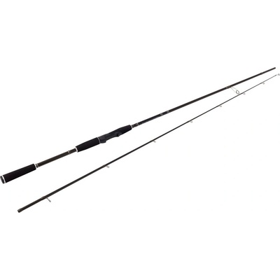 Westin W2 Finesse Shad MH 2,2 m 10-28 g 2 díly