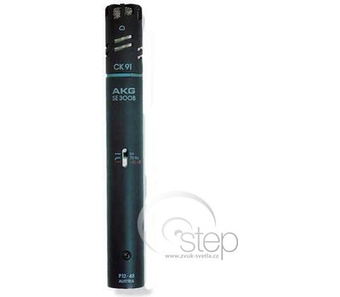 AKG C 391