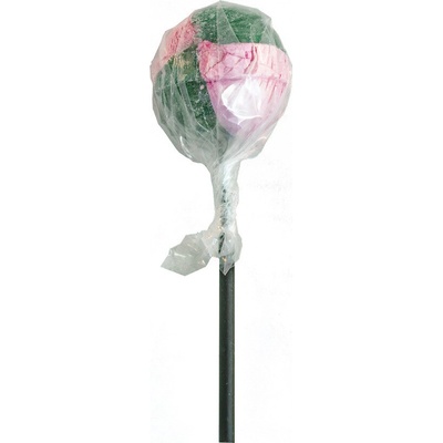 zlatéCBD CBD Lízatko Bubble gum 18 g