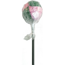 zlatéCBD CBD Lízatko Bubble gum 18 g