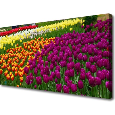 Obraz na plátne Tulipány kvety 100x50 cm