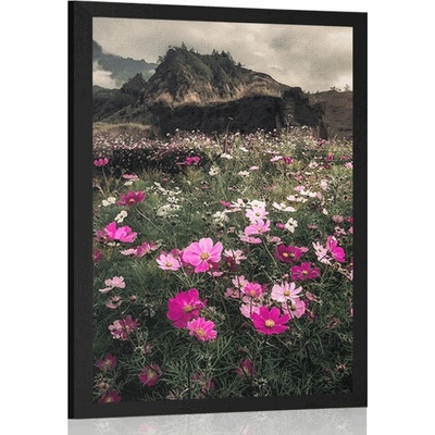 Plakát louka kvetoucích květin - 40x60 no frame