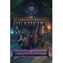 Pillars of Eternity 2: Deadfire - The Forgotten Sanctum