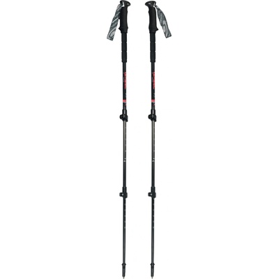 Gabel Escape Carbon Lite Tour