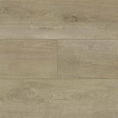 Audacity Redwood Canyon EWH7012 2,49 m²