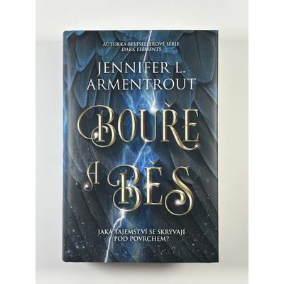 Bouře a běs - Jennifer L. Armentrout