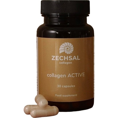 Zechsal Collagen ACTIV - 30 капсули